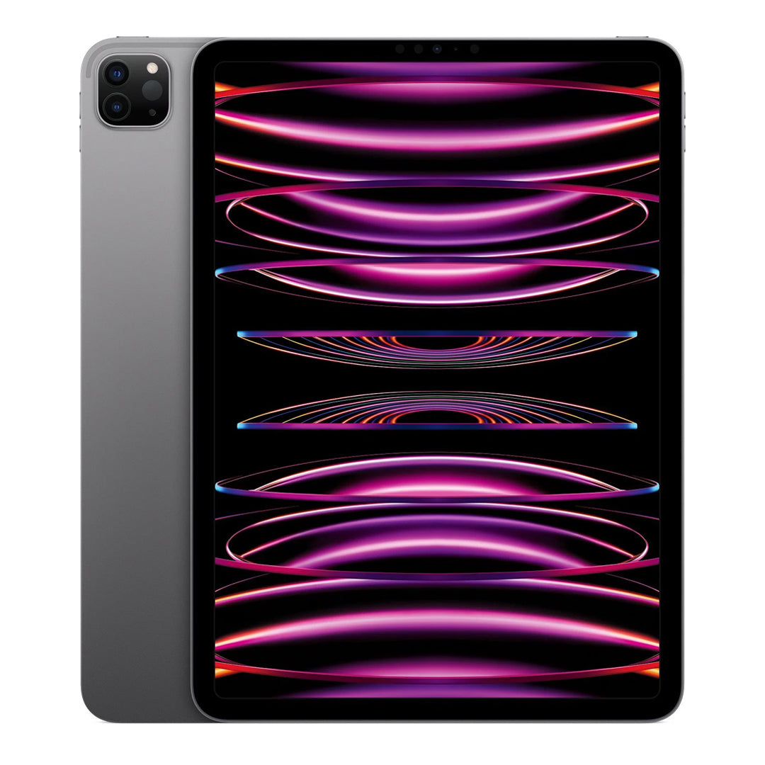iPad Pro 11" 512 GB M2 Vesmírna Sivá