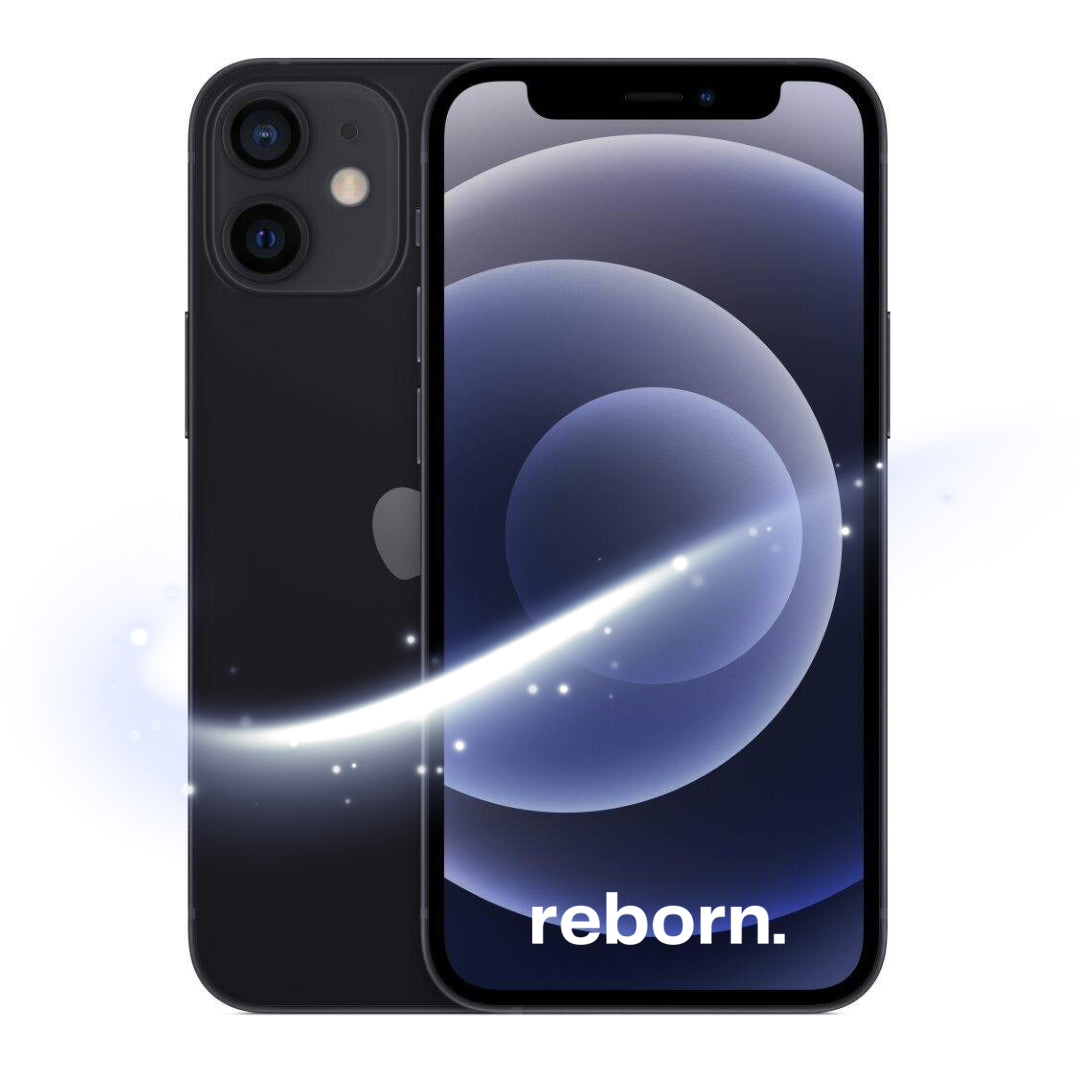 iPhone 12 REBORN