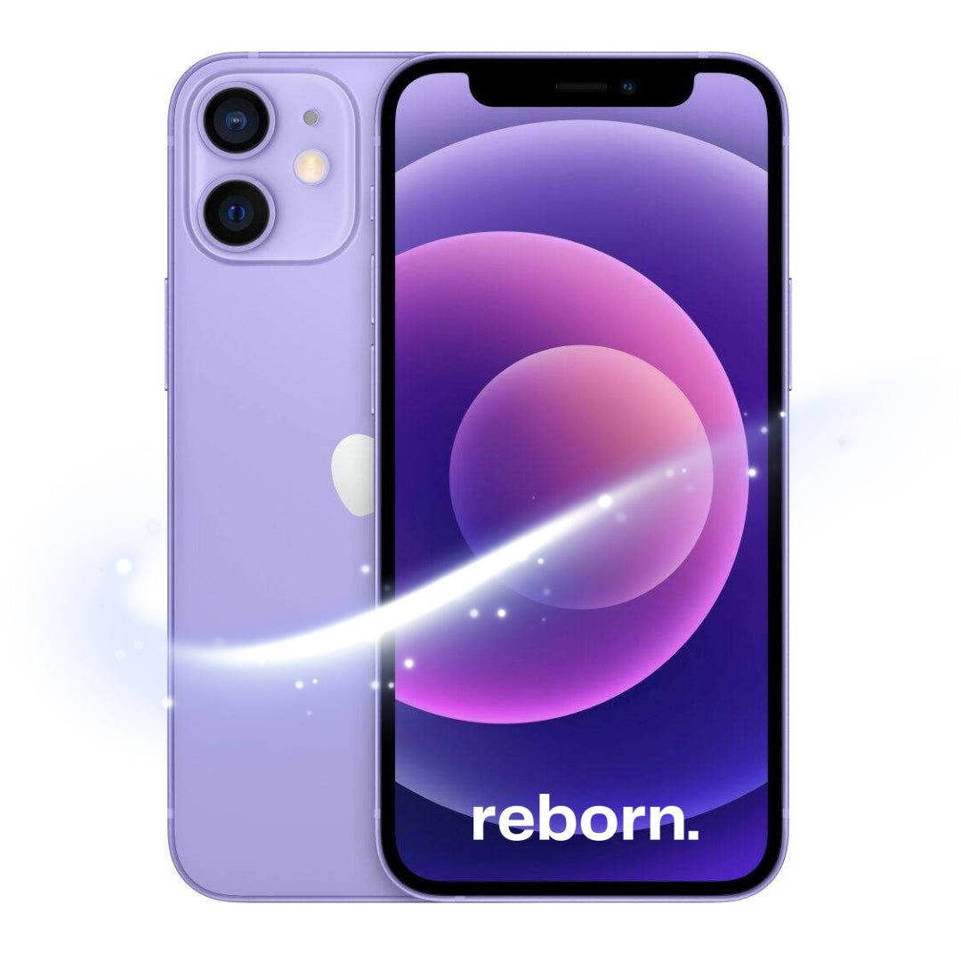 iPhone 12 REBORN