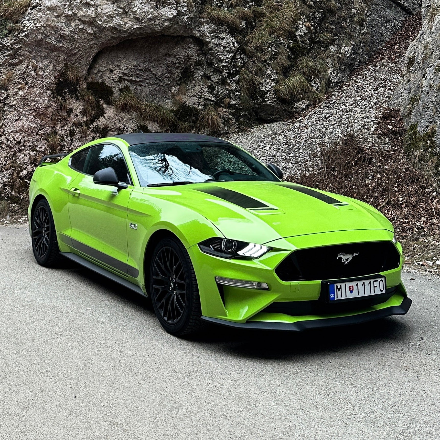 Mustang GT 5.0 V8