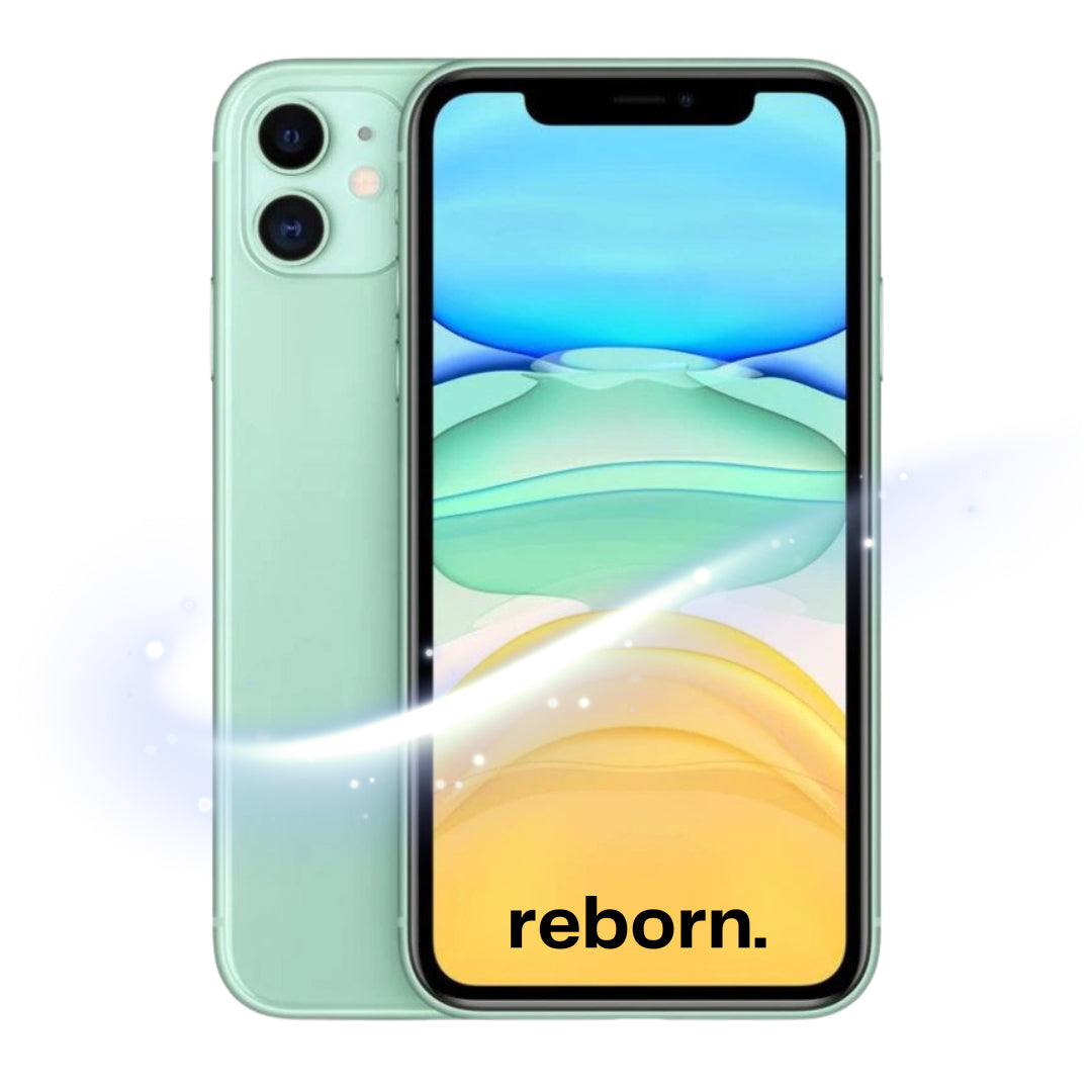 iPhone 11 REBORN