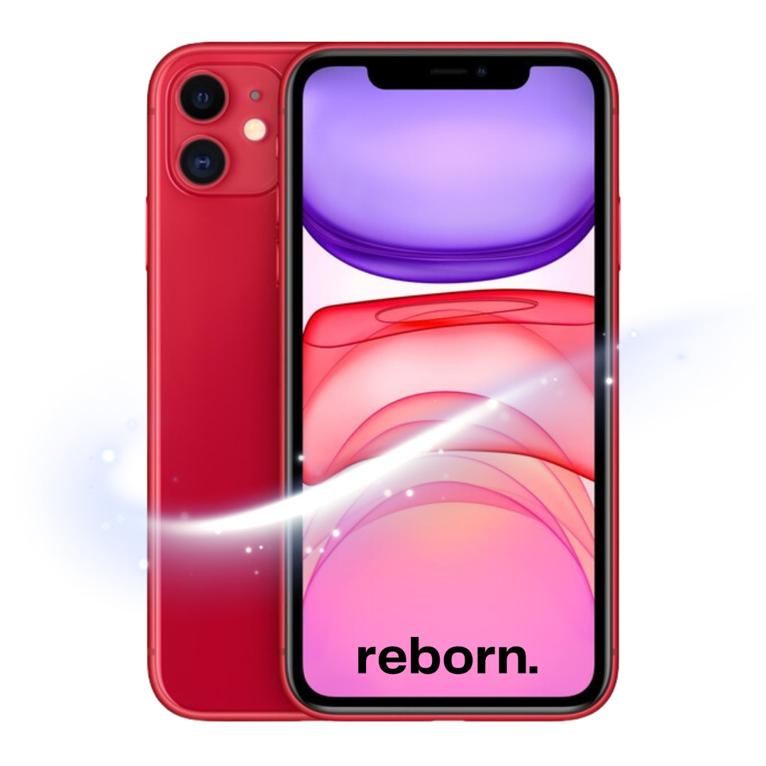 iPhone 11 REBORN