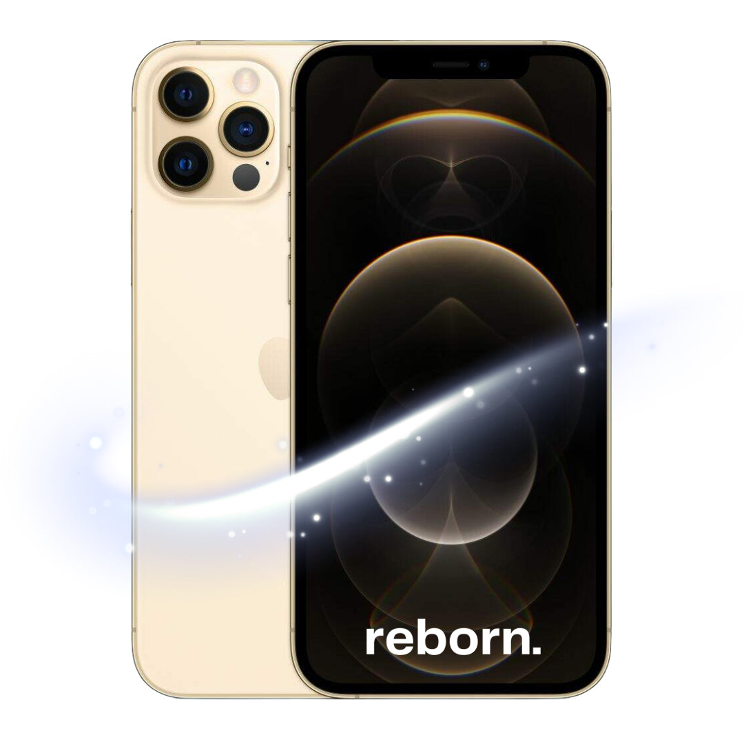 iPhone 12 Pro Max REBORN