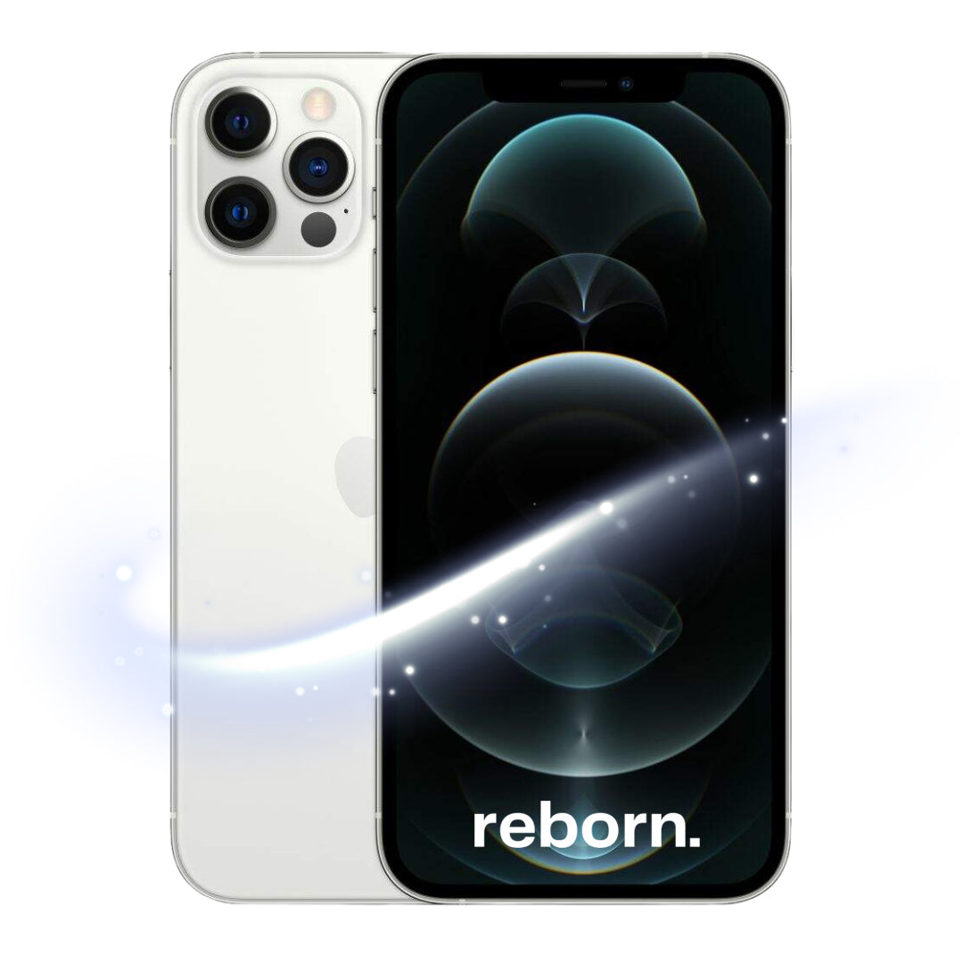 iPhone 12 Pro Max REBORN
