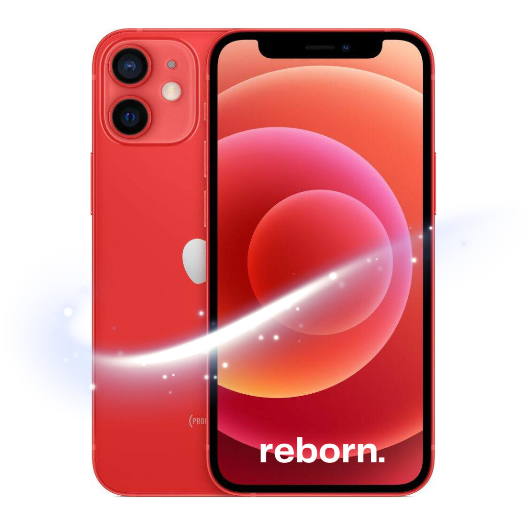 iPhone 12 REBORN