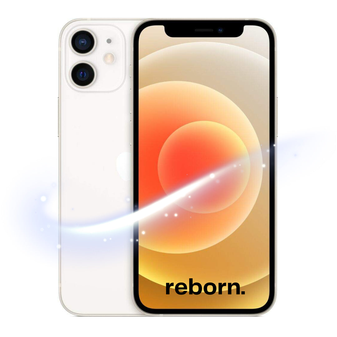 iPhone 12 Mini REBORN
