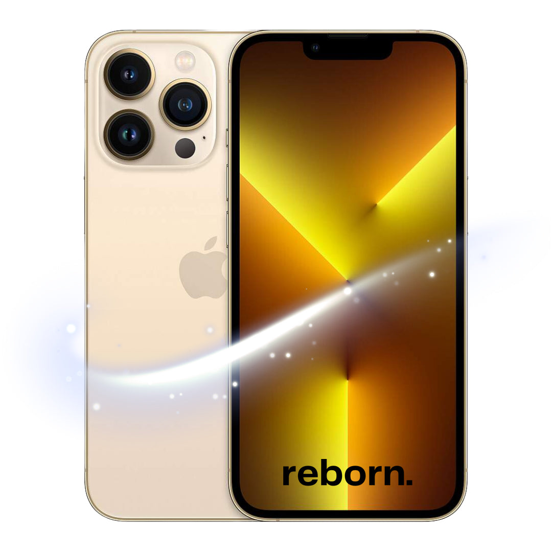 iPhone 13 Pro REBORN