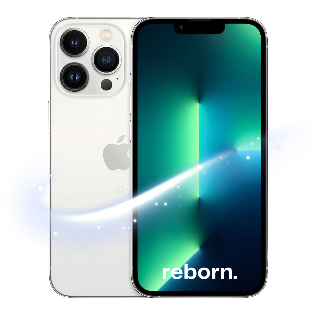 iPhone 13 Pro Max REBORN